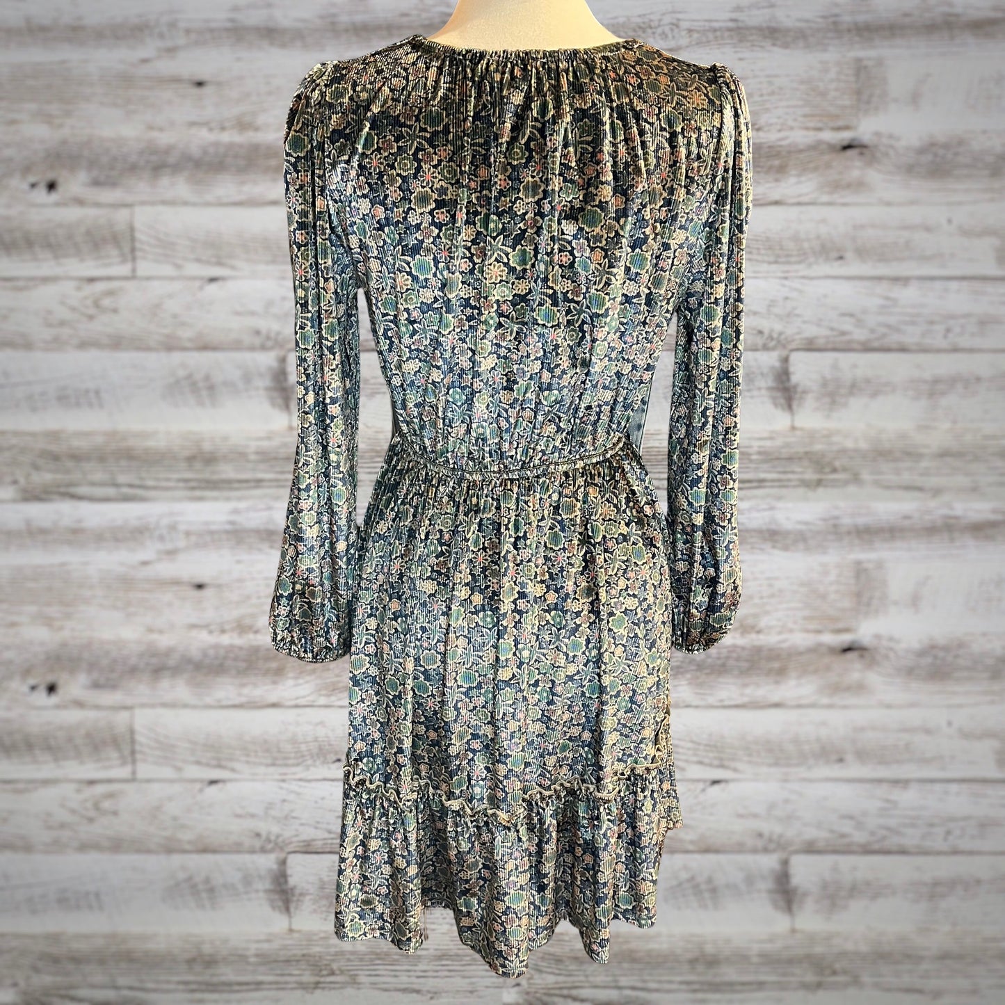 Shimmery Velvet Western Floral Long Sleeve Mini Dress in Blue